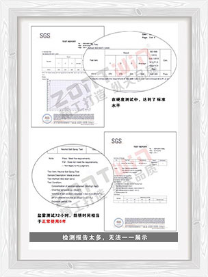 SGS testing report